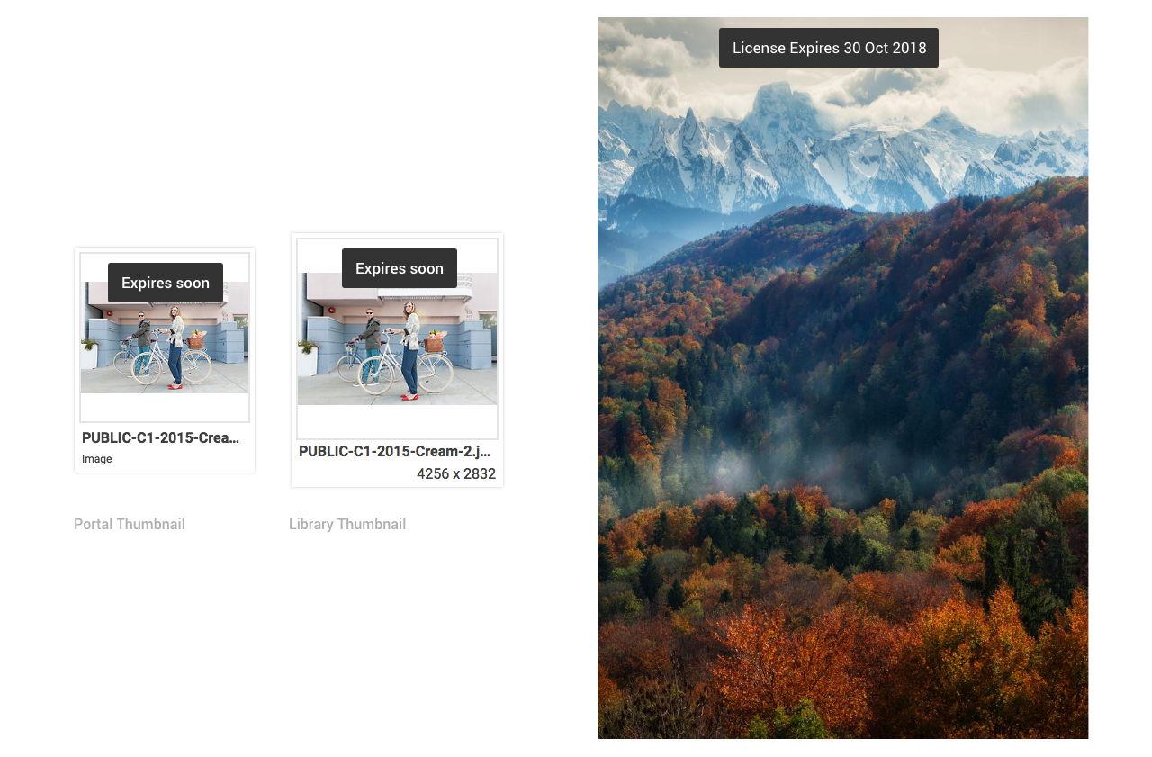 On the left, there are two dark grey containers with white text that reads: expires soon. The containers are on top of a thumbnail image of a woman holding a bicycle. On the right, there is another dark grey container with white text reading: License Expires 30 Oct 2018. This container is over the top of an image of snowy mountains and an autumnal forest in the foreground.
